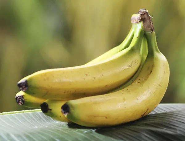 Азия произвежда над 60% от банановата продукция