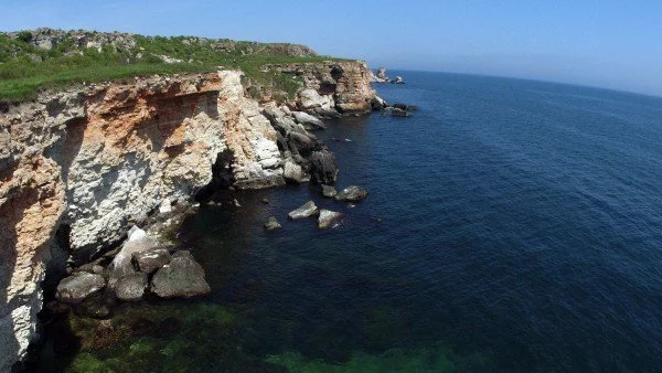 Все по-малко риба в Черно море заради преулов и замърсяване