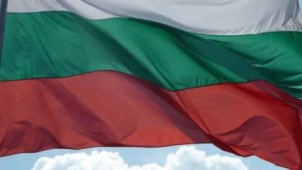 Такси в цветовете на българското знаме превзема Чикаго