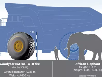 Най-голямата гума на Goodyear е факт и е с размерите на африкански слон