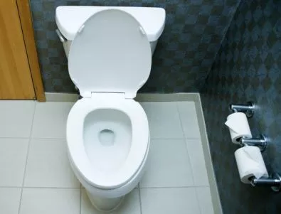 СЗО: 1 млрд. души в света нямат достъп до тоалетни 