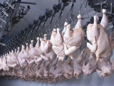 Експерт критикува БАБХ заради бавна реакция за салмонелата в пилешкото