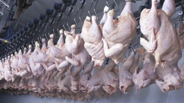Експерт критикува БАБХ заради бавна реакция за салмонелата в пилешкото