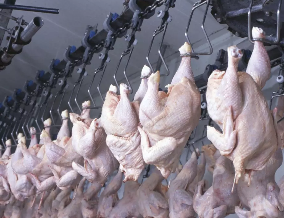 Рязък скок в сигналите за заразено пилешко месо от Полша у нас