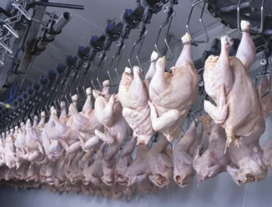 Русия спря внос на птиче месо от Хасково заради 