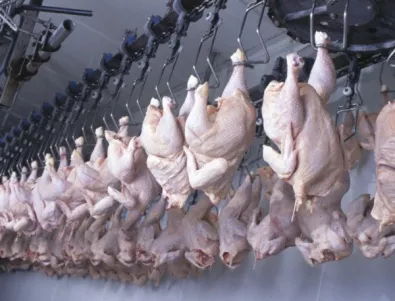 БАБХ: Няма пилешко месо с фипронил на българския пазар