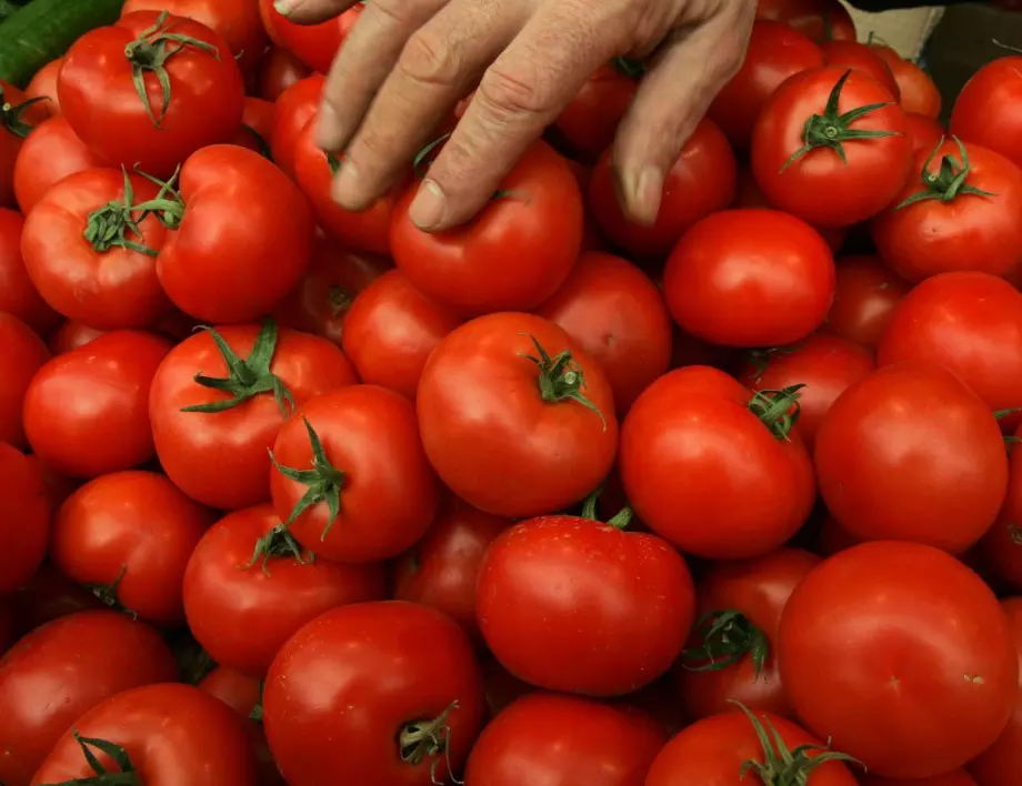 Ако искате РЕКОРДНО висок добив на домати в оранжерия, дайте им ТОВА
