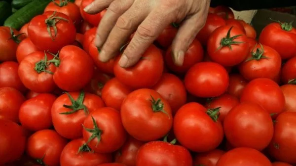 Зеленчуците продължват до поскъпват 