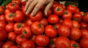 Агенцията за храните проверява продажбите на плодове и зеленчуци в цялата страна