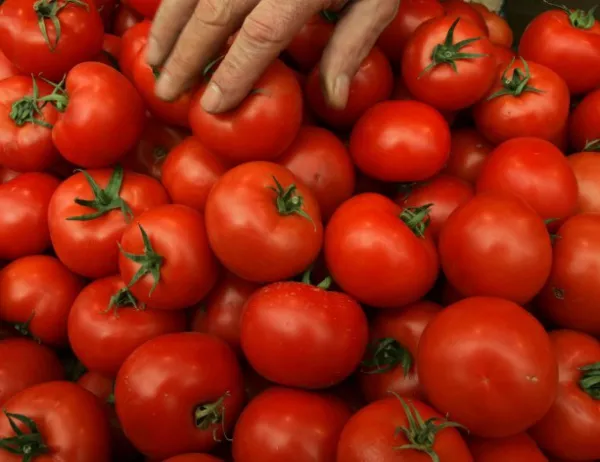 Русия допусна внос на домати от Турция, но по-ограничен