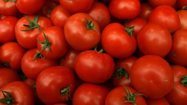 Русия допусна внос на домати от Турция, но по-ограничен