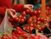 Кога е най-добре да се сее разсад за ранни домати?
