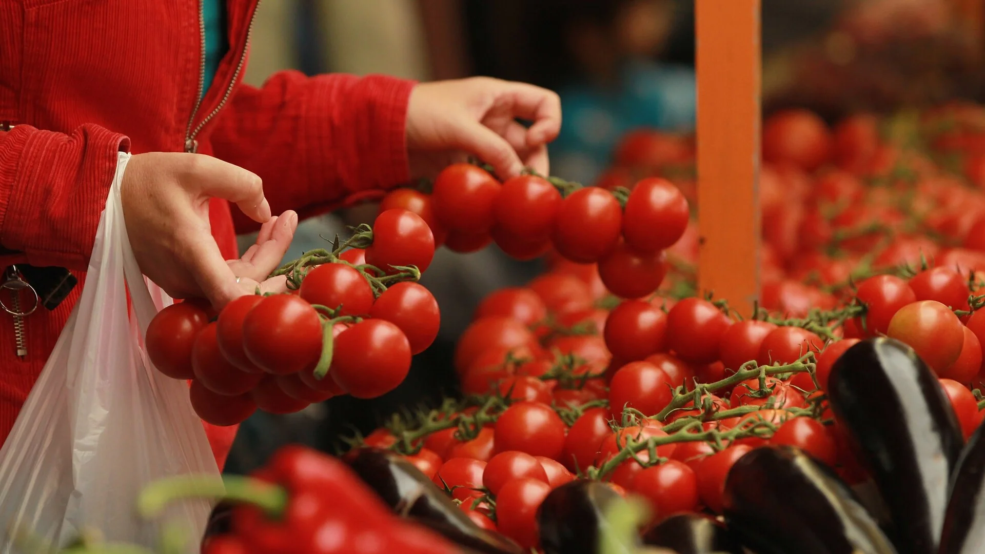 Кога е най-добре да се сее разсад за ранни домати?