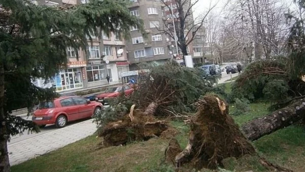  Габрово отбелязва с молебен годишнина от ужасния ураган