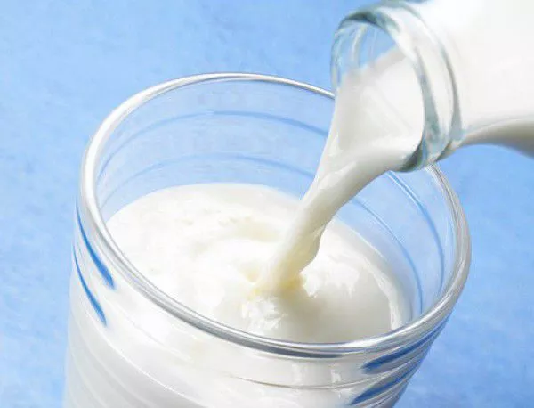 Изкупната цена на млякото падна фатално ниско