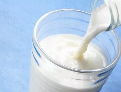 Бруцелозата в Рила най-вероятно е причинена от мляко без термична обработка