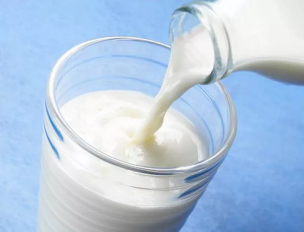 Раздават 6 млн. на млекопроизводителите по 4 схеми