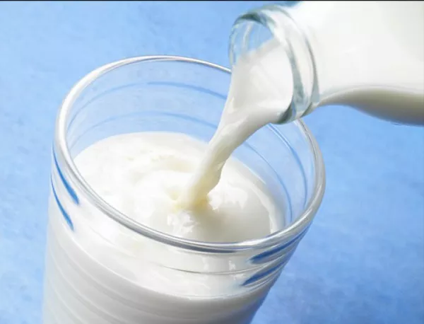 БАБХ установи над 200 тона неотговарящо мляко с произход ЕС