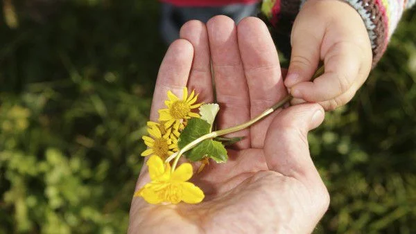 Температурите слабо ще се повишат