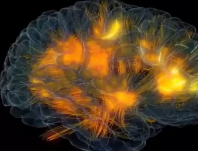 Учени: Коронавирусът може да състари мозъка с 10 години