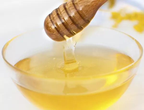 Варна ще бъде домакин на фестивал на меда