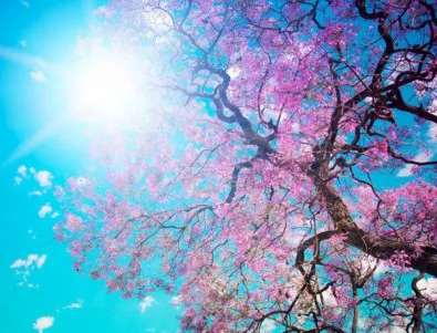 7 идеи за щастие в първата пролетна неделя. И е слънчево-топла, за късмет!