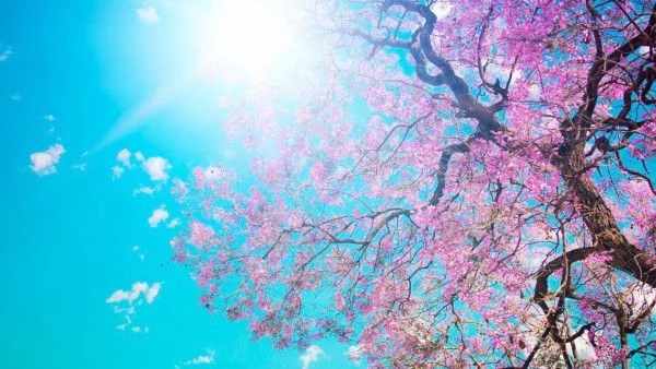 Седмицата започва със слънце