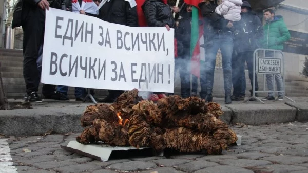 Държавата не може да помогне в частни спорове за неизкупен тютюн, заявиха от МЗХ