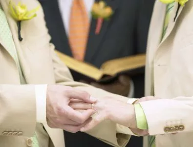 В Словения ще правят референдум за закон, позволяващ гей бракове