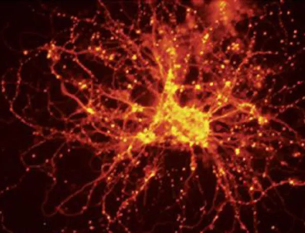 Неврони откриват болести