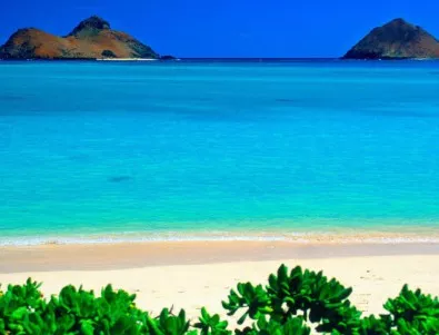 Божественият бял пясък на Хаваите е всъщност отпаден продукт от риби?