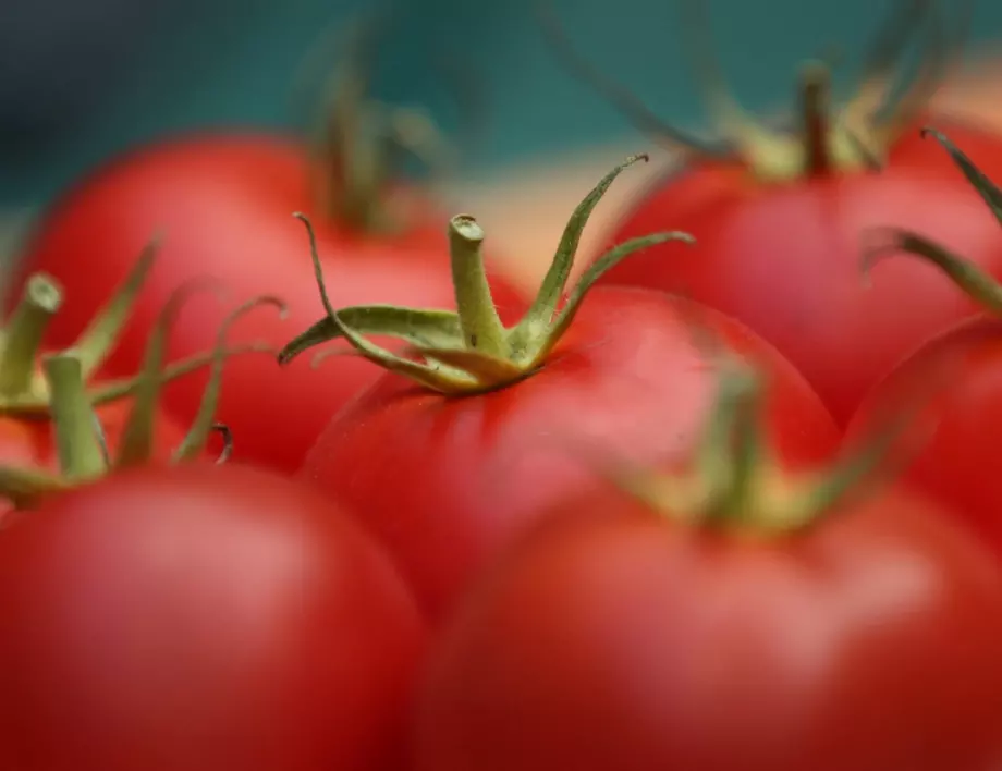 С тази домашна тор доматите ще са много по-вкусни и сладки