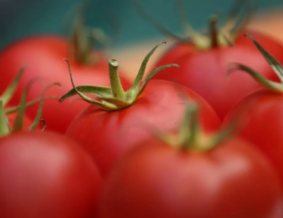Пробвате ли тази рецепта за домати шмеркезе ще забравите за другите салати