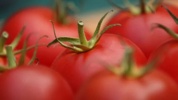 Тръгва се към регистриране на 9 наши продукта по европейски схеми за защита на качеството