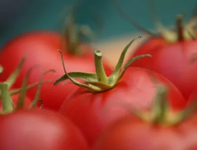 Ляв вестник и онлайн медии раздухаха невярна новина за забраната на розовия домат