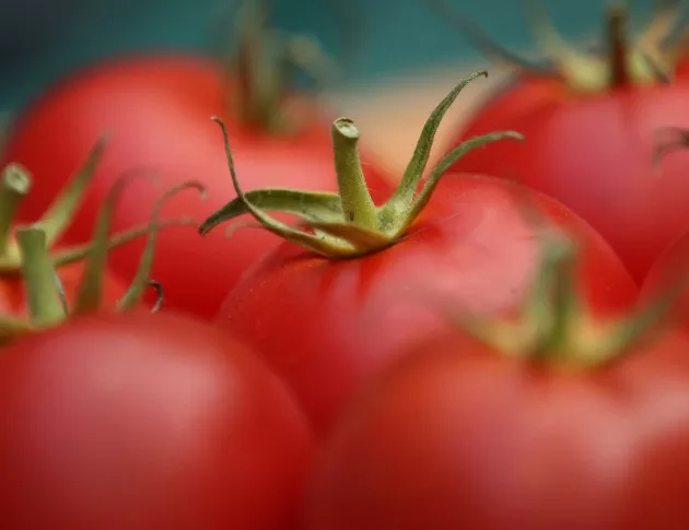 Учени: Не съхранявайте доматите в хладилник!