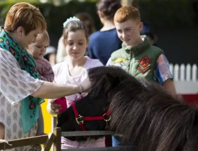 Бебе пони зарадва столичния зоопарк 