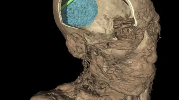 Откриха шпатула в черепа на мумия отпреди 2600 години