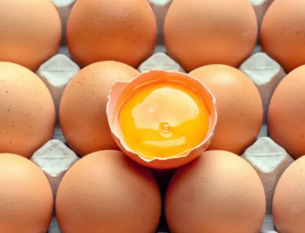 Производители: Супермаркетите спекулират с цената на яйцата 