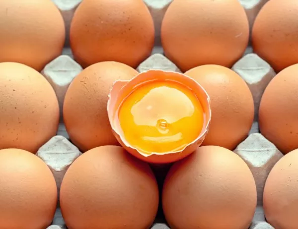 Около 700 000 заразени яйца са внесени във Великобритания