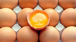 Фермите, в които откриха яйца с фипронил, остават под възбрана 