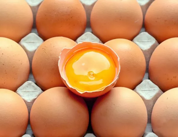 Възбрана на яйца в Кюстендилско при извънредни проверки за фипронил