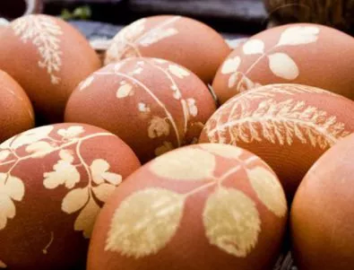 СП: Яйцата в България са по-евтини от тези в останалите страни от ЕС