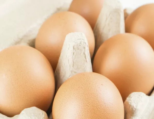 БАБХ прави постоянни проверки за фипронил в яйцата