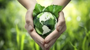 Днес е Световният ден за опазване на околната среда