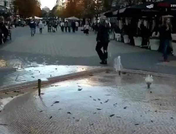 Столична община пита софиянци да демонтира ли фонтана на бул. "Витоша"