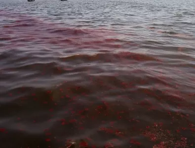 Мащабен разлив на нафта край Норилск (ВИДЕО)