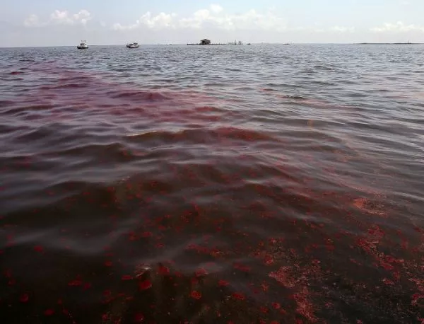 BP ще трябва да плати рекордна глоба заради разлива в Мексиканския залив
