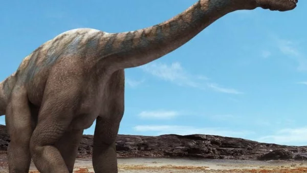 Динозаврите са имали детегледачки