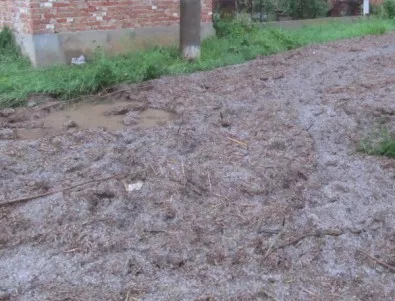 Отстраняват се щетите от поройния дъжд в Свищов
